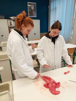 Leerlingen wetenschappen van IMK experimenteren in het labo